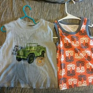Lot of 2 shirts size 3t
